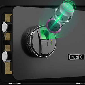 Best Medium Biometric Safe Box for Money
