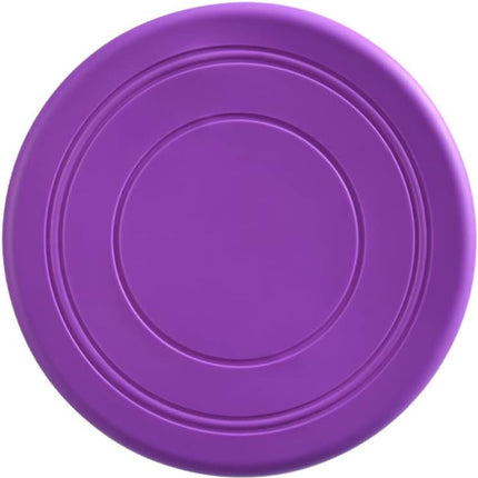Frisbee Flying Disc Toy, Outdoor Playing Game, Suitable for Kids and Adults (17.8cm Diameter)