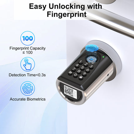 WELOCK Smart Fingerprint Door Lock with Biometric Fingerprint Scanner and Pass Code ToucD41