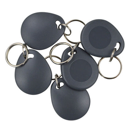 Premium RFID Key Tags 125KHz Access Control Key fobs Keychain ABS Waterproof (Grey)