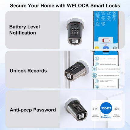 WELOCK Smart Fingerprint Door Lock with Biometric Fingerprint Scanner and Pass Code ToucD41
