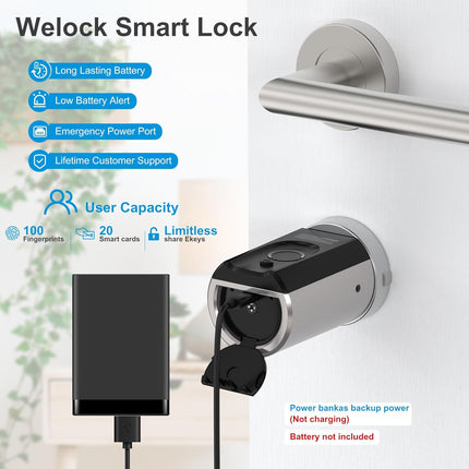 WELOCK Smart Fingerprint Door Lock with Biometric Fingerprint Scanner Electronic Lock IP65 RFID Card Ble Wi-Fi
